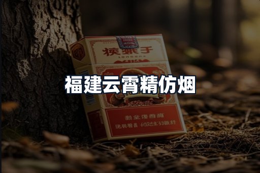 福建云霄精仿烟